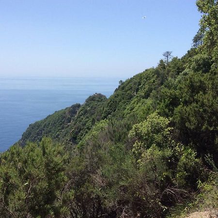 Ca' Da Maire Appartement Sestri Levante Buitenkant foto