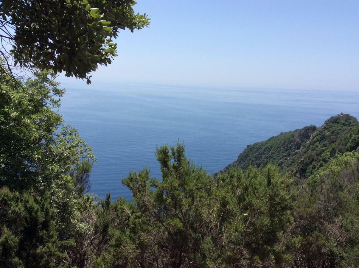Ca' Da Maire Appartement Sestri Levante Buitenkant foto